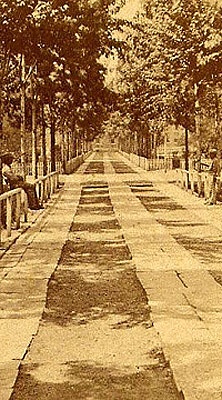 walkway2.jpg